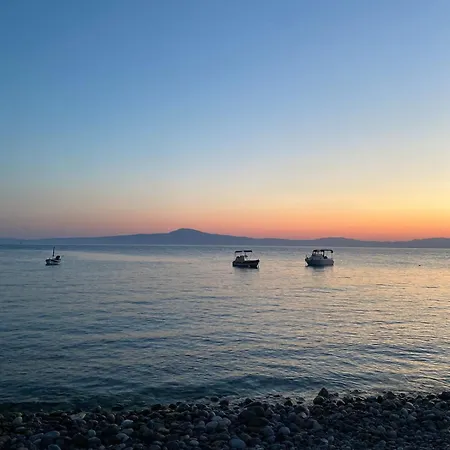 Gregory's House Avia